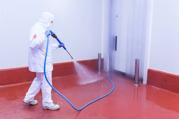 Best Driveway Pressure Washing  in Kermit, TX